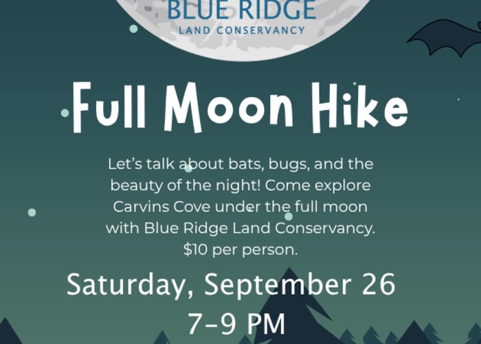 Full Moon Hike at Carvins Cove
