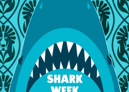 Shark Week: Merch, Movies + Drink Specials