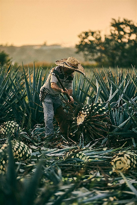 Ocho Tequila Tasting Dinner