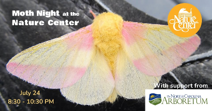 Moth Night at the Nature Center