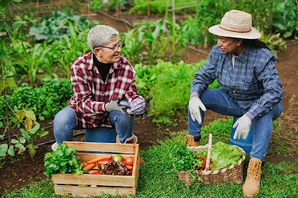 Learn to Grow: Lifelong Gardening