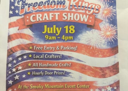 BRACA Freedom Rings Craft Show