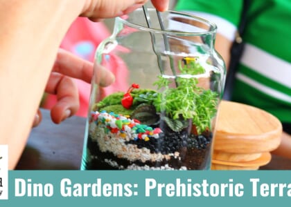 Dino Gardens: create your own prehistoric terrarium