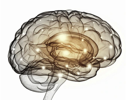 3rd Annual Lewy Body Dementia Community Education Conference