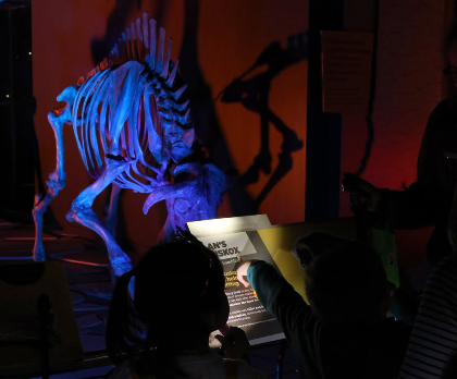 Twilight Tales: Strange Encounters (ages 6+)