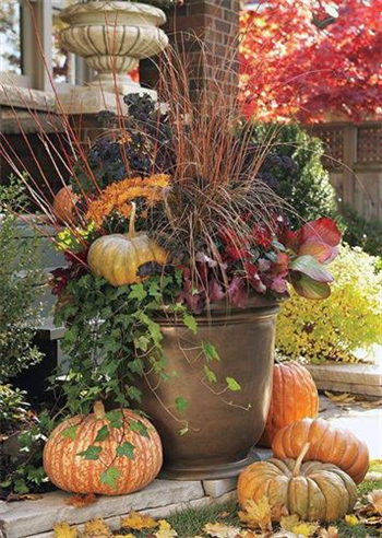 Make A Fall Porch Pot At The Barn Nursery Landscape Center Daily