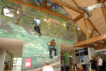 Swaner Wetland Climbing Wall