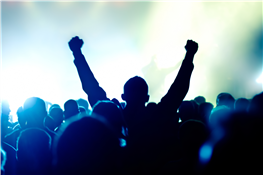 Little Music Festivals