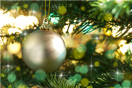 Adult Trip - Blossoms of Light at Denver Botanic Gardens