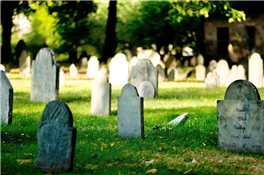 The Plants & The Planted - Green Hill Cemetery Tour