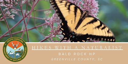 Hikes with a Naturalist