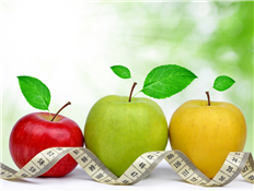 Health Insurance Basics: Understanding Your Options