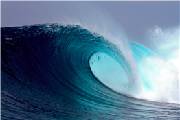 Municipal Surf Group (7-9pm)