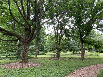 Walk With a Doc at The Arboretum