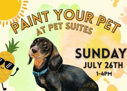 Paint Your Pets at Paint Suites