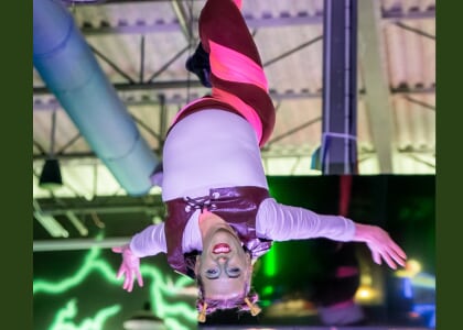 Cirque du Biere: Shrek Aerial Show