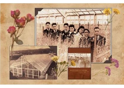 Interpreting Japanese American Incarceration through Blossoms & Thorns
