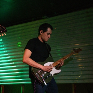 The Alpines Live