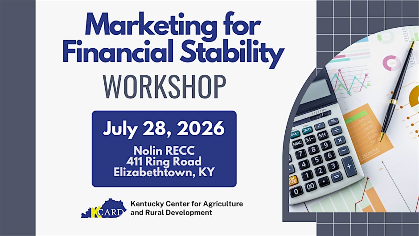 Marketing for Financial Stability Workshop