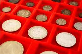Blue Ridge Coin Show