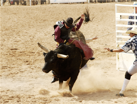 Rodeo Rejects