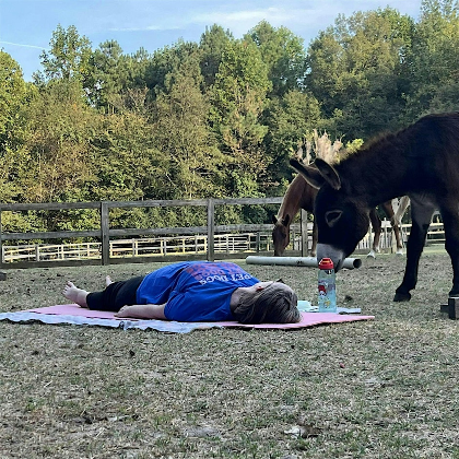 Stretching & Meditation with Horses: Wednesdays at 6:30 PM