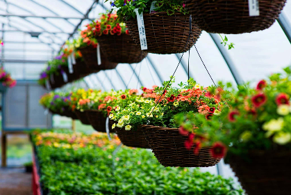 Wasson Nursery Free Kids Workshop: Butterfly Craft & Education