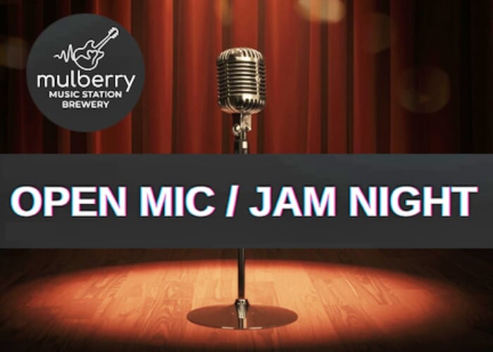 The Performance Jam: Open Mic & Musician Showcase at Mulberry