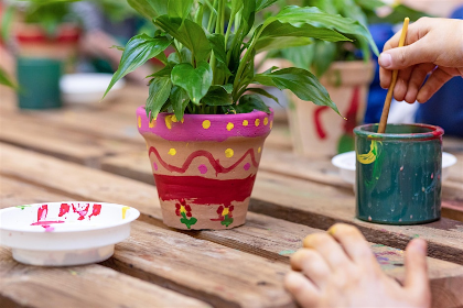 DIY: Paint and Plant
