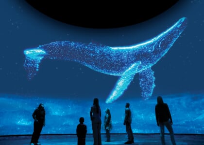 Dome After Dark: Surreal Nature