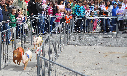 40th Annual Smithfield Ham & Yam Festival