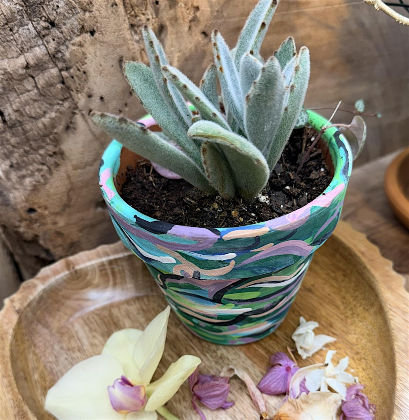 Pottery Painting and a Starter Plant