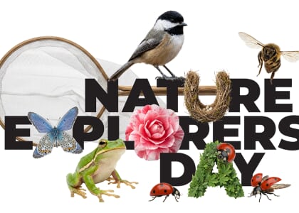 Nature Explorers Day