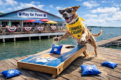 Play for Paws Annual Cornhole tournament