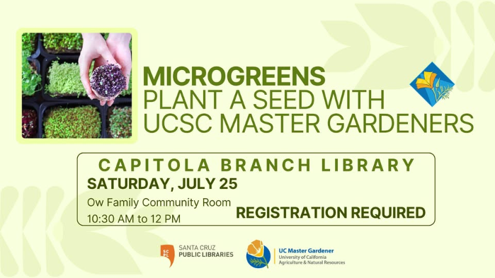 Microgreens Plant a Seed with UCSC Master Gardeners