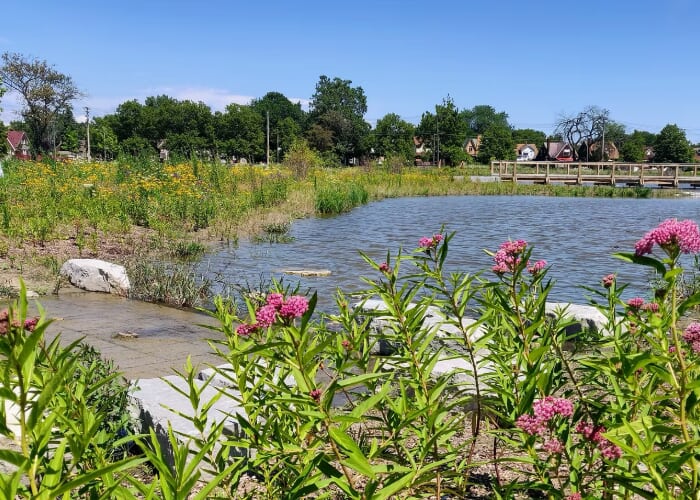 Planet Detroit Community Walk at Chandler Park