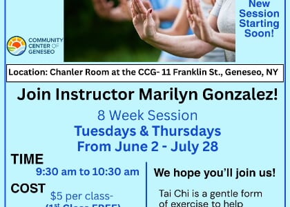 Tai Chi for Wellness