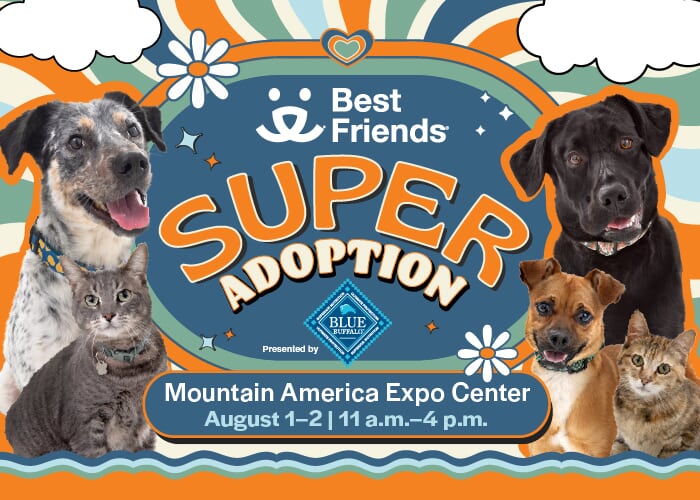 Best Friends Super Adoption
