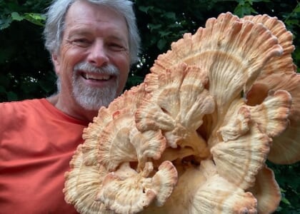 Forage Mushrooms Without Dying: ID Class