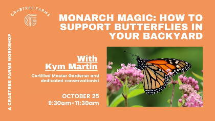 Monarch Magic: How to Support Butterflies in Your Backyard