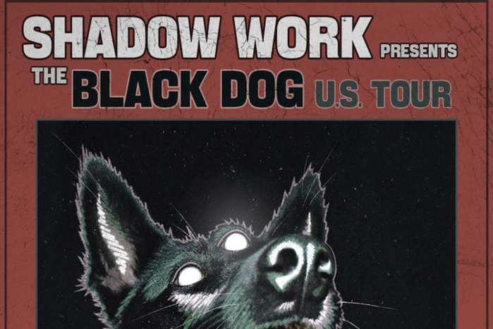 Shadow Work