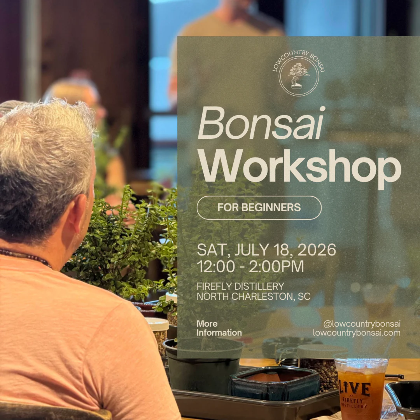 Bonsai Class & Live Music