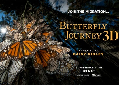 Butterfly Journey 3D - Pollinator Week in IMAX!