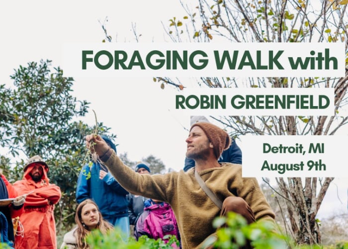 Foraging Walk with Robin Greenfield in Detroit