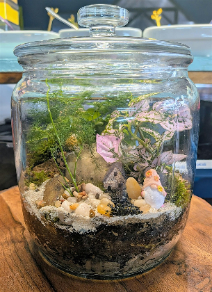 DIY Terrarium in the Beer Garden hosted by Mossy Rock