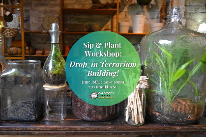 Sip & Plant Workshop: Drop-in Terrarium Building!