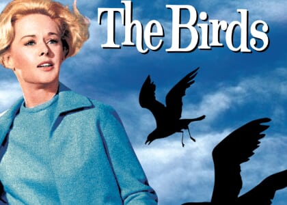 The Birds
