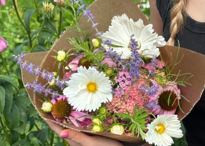 Flower U Pick at Ashbourne Farms