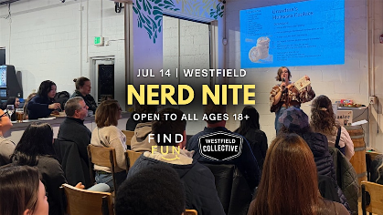 Nerd Nite (Powerpoint lectures in a bar