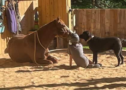 Cornerstone Summer Horse Camp